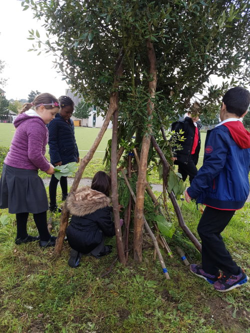 Bushcraft Activities for Year 1 & Year 22