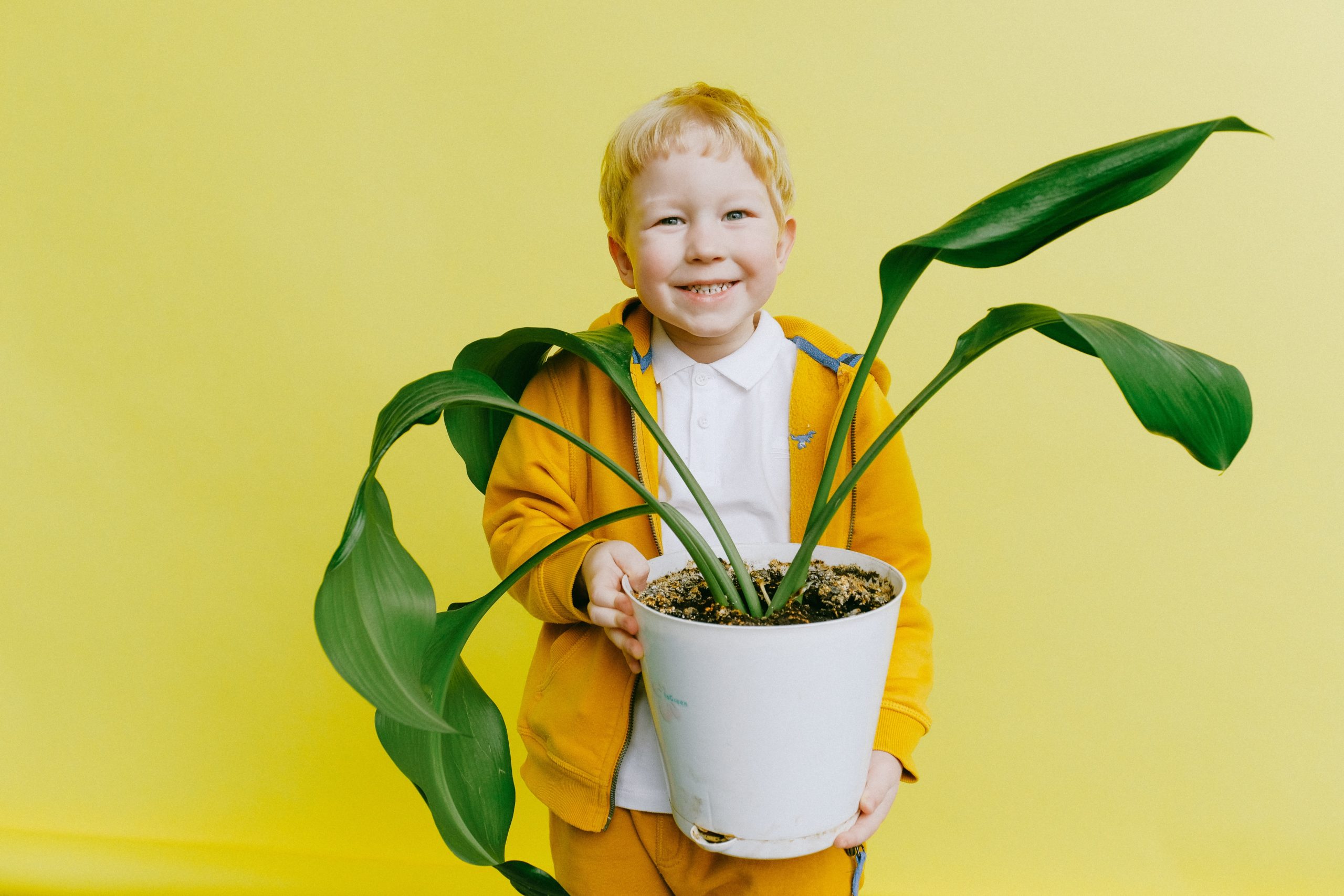 SMiling young boy holding a pot plant